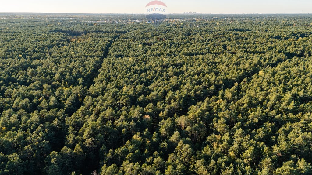 Działka budowlana na sprzedaż Otwock, Soplicowo, Protazego  4 593m2 Foto 7