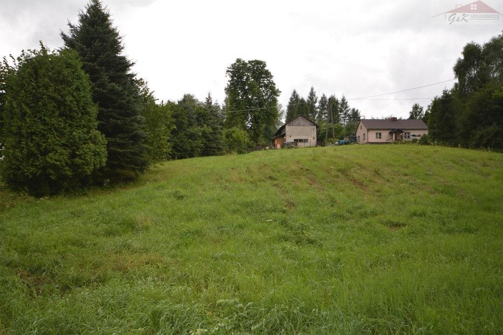 Działka budowlana na sprzedaż Przybówka 1 800m2 Foto 1 Działka budowlana na sprzedaż Przybówka 1 800m2 Foto 1