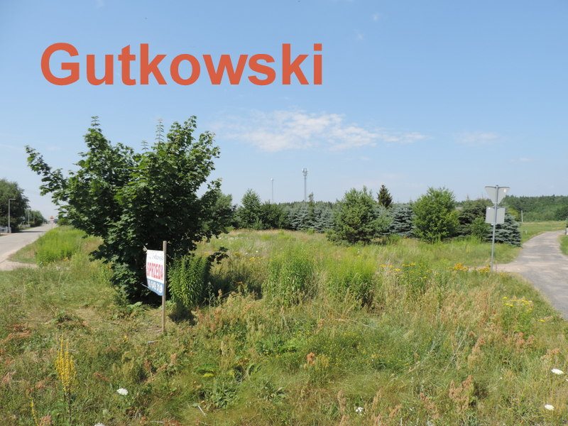 Działka budowlana na sprzedaż Wikielec, gmina Iława  2 000m2 Foto 6