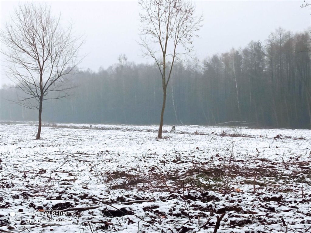 Działka budowlana na sprzedaż Halickie  5 440m2 Foto 6