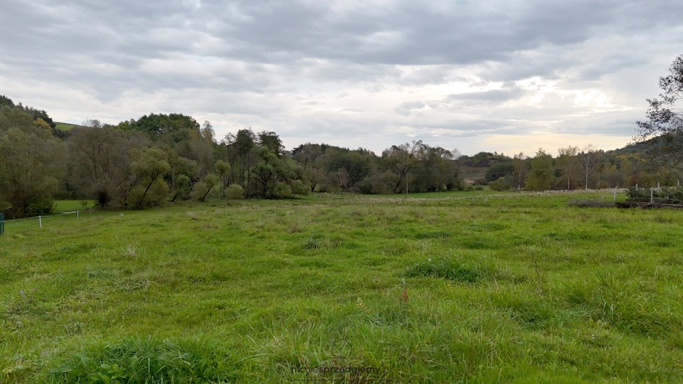 Działka budowlana na sprzedaż Czchów, Złota, Złota  1 600m2 Foto 4