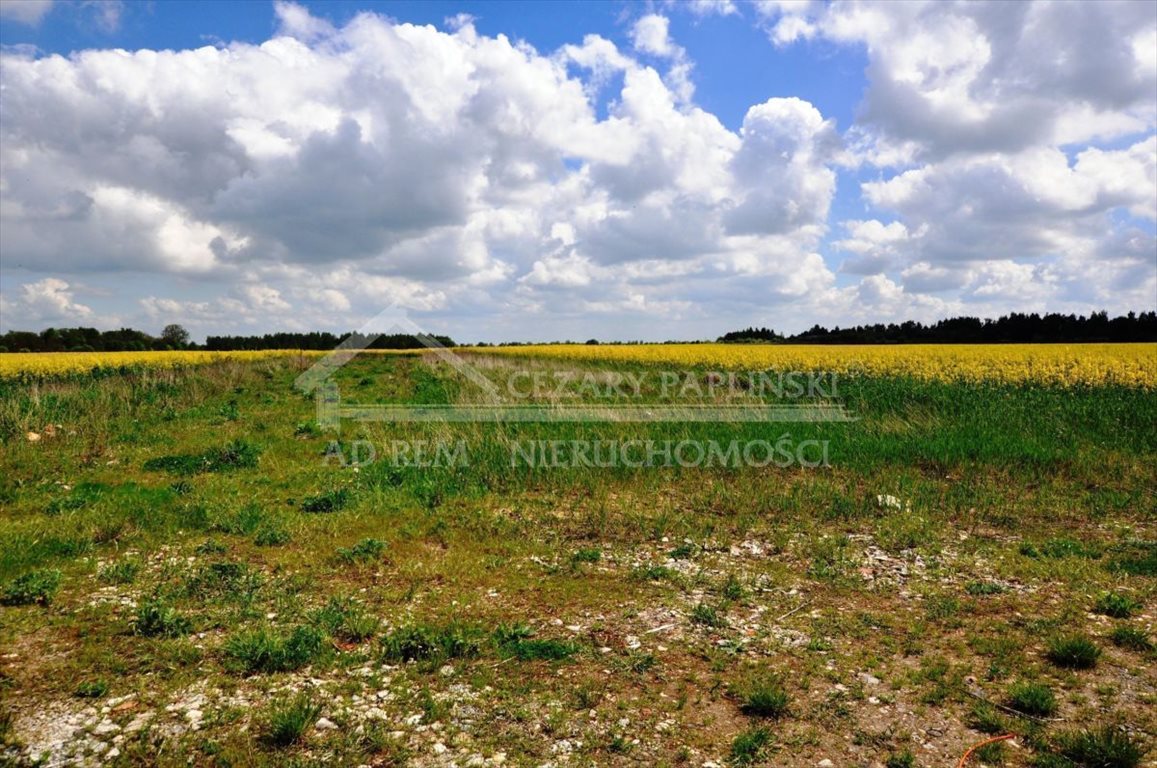 Działka budowlana na sprzedaż Biała Podlaska, Biała Podlaska, Cicibór Duży, Rakowiska  800m2 Foto 2