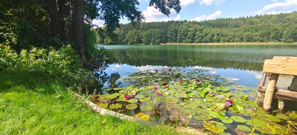 Atrakcyjne mieszkanie nad jeziorem Łubowo - 35,3 m2. Lubiewo  35m2 Foto 1