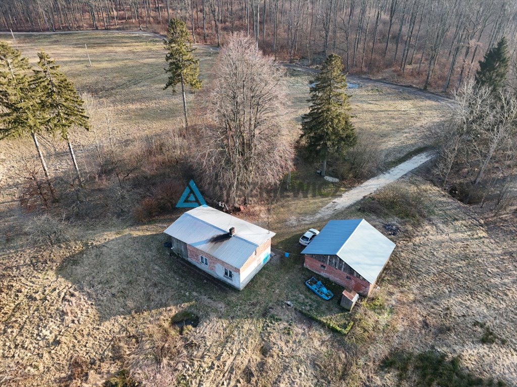 Działka budowlana na sprzedaż Trzepowo, Sambora  3 706m2 Foto 7