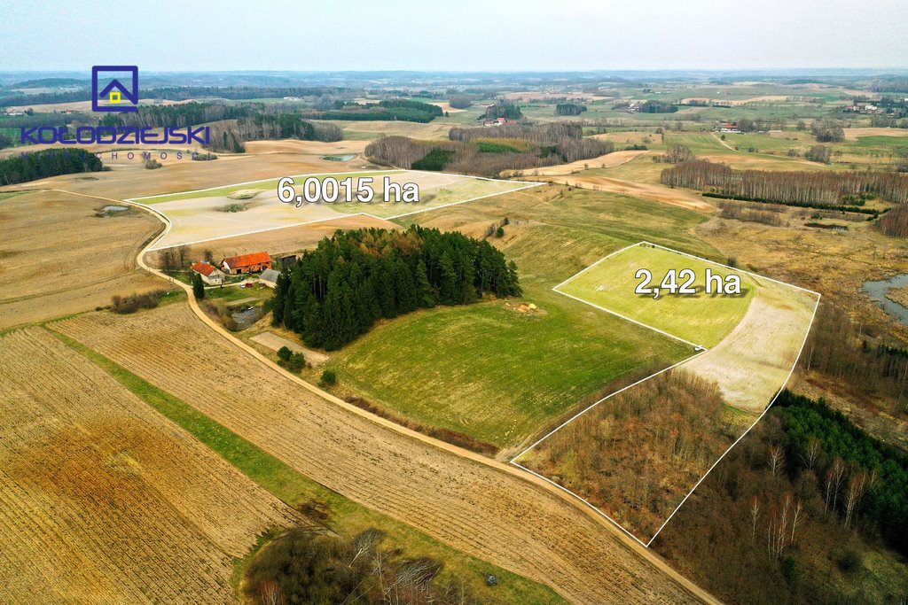 Działka rolna na sprzedaż Nowosady  85 700m2 Foto 1