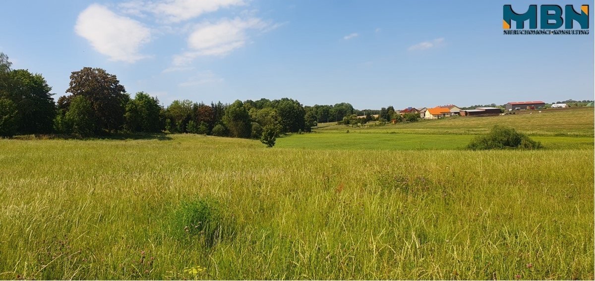 Działka rolna na sprzedaż Stręgielek, Stręgielek  3 035m2 Foto 20