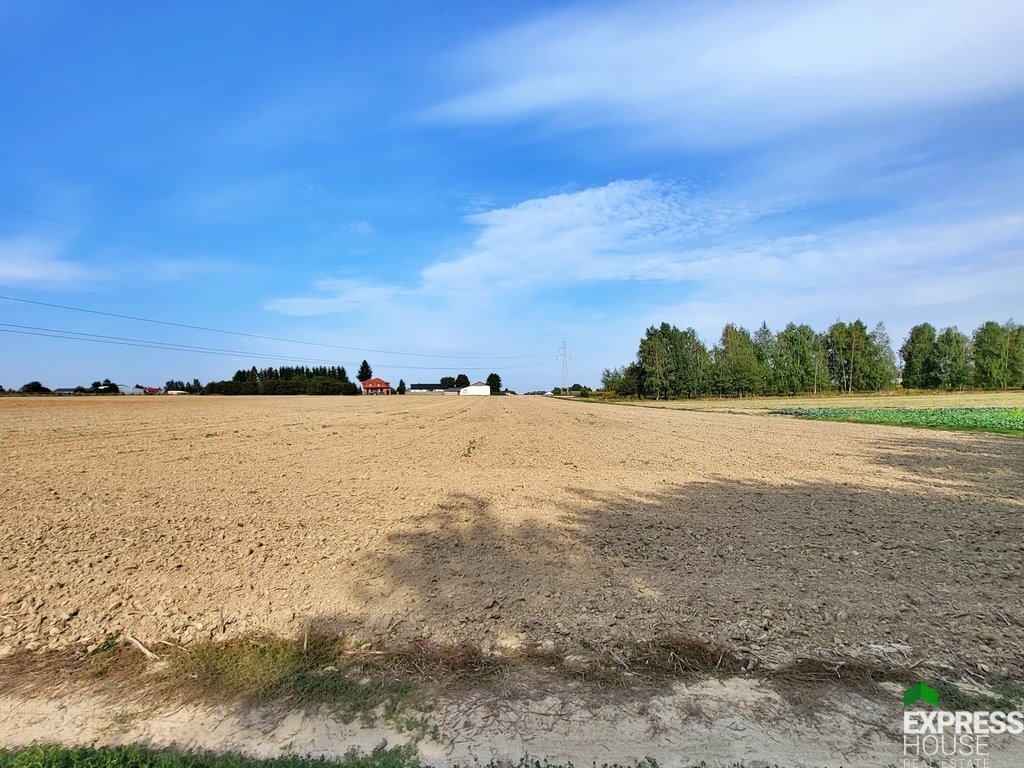 Działka rolna na sprzedaż Dziuchów  10 900m2 Foto 3