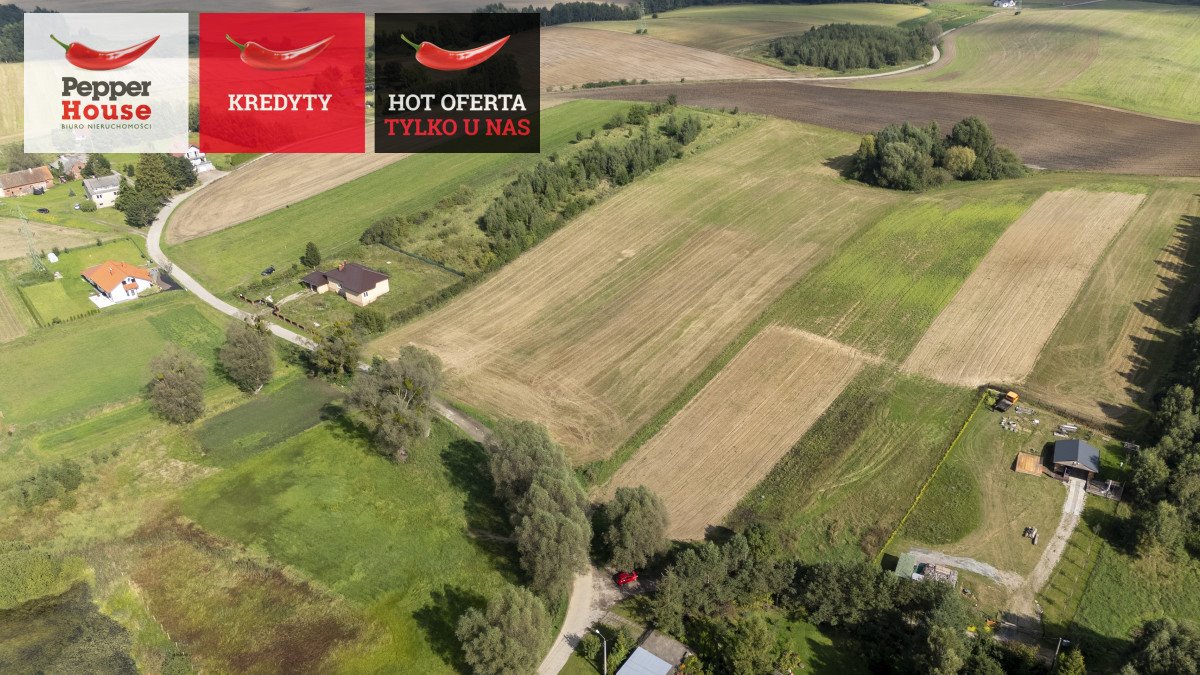 Działka 3018m2 w Złej Wsi – cisza, natura, blisko Gdańska Zła Wieś  3 018m2 Foto 1