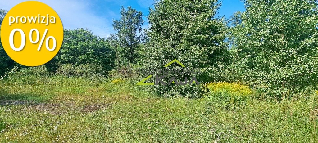 Działka siedliskowa na sprzedaż Nowe Biskupice  27 700m2 Foto 12