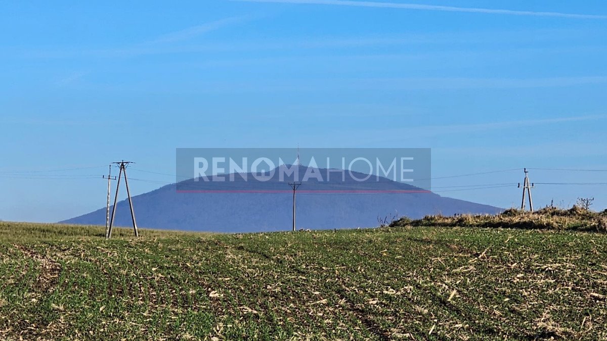 Działka siedliskowa z potencjałem, blisko lasów i szlaków Krzczonów  8 400m2 Foto 1