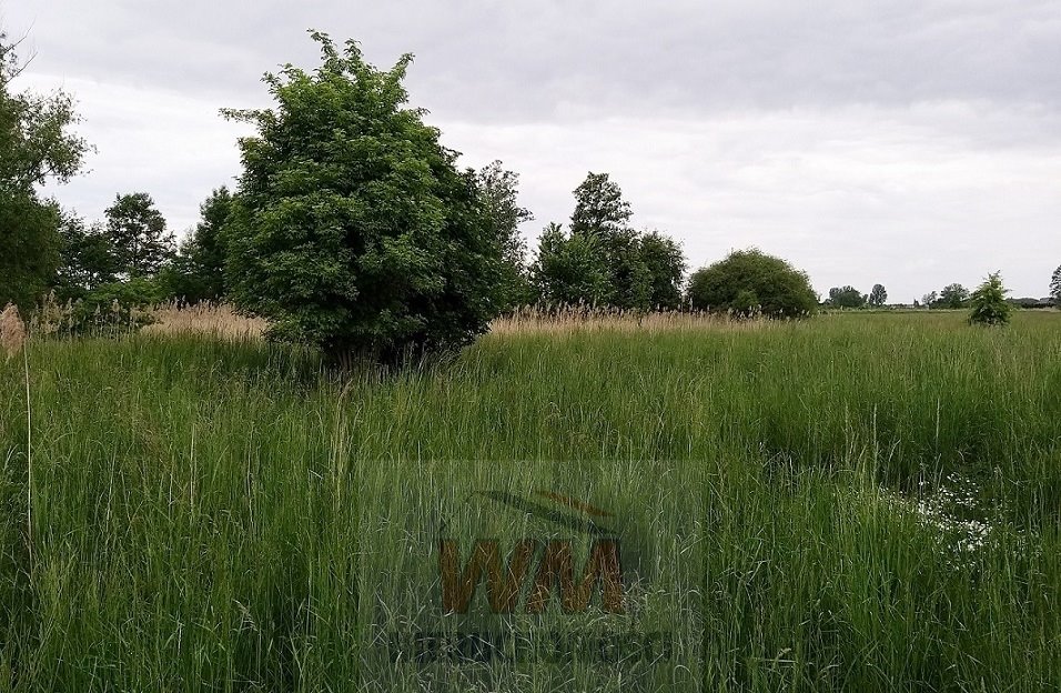 Działka siedliskowa na sprzedaż Jasieniec  30 900m2 Foto 15