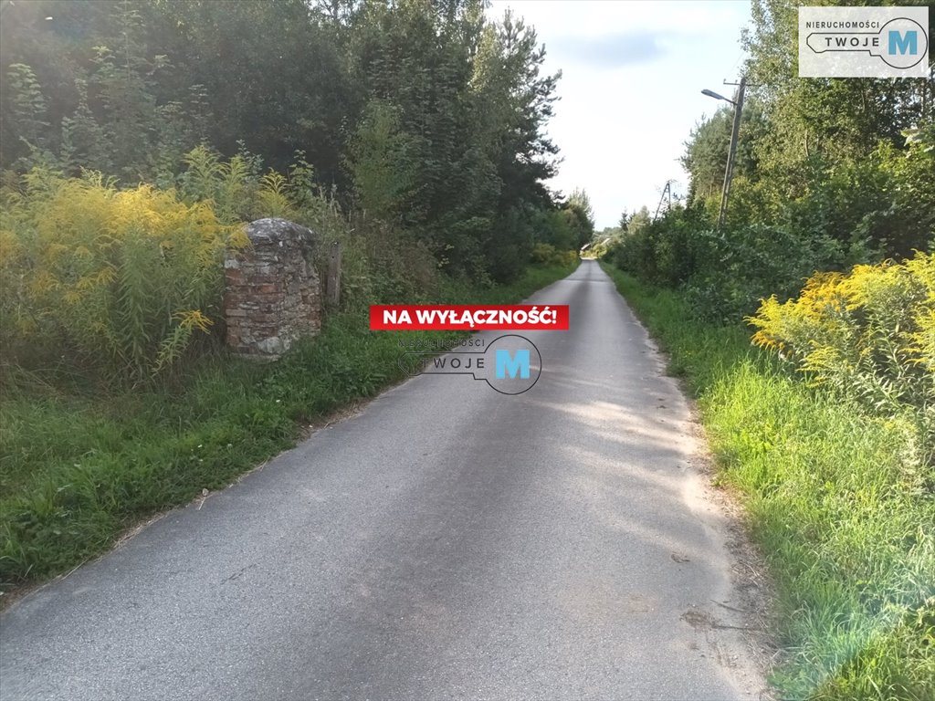 Działka inna na sprzedaż Chęciny, Lelusin, Wojkowiec  9 900m2 Foto 3