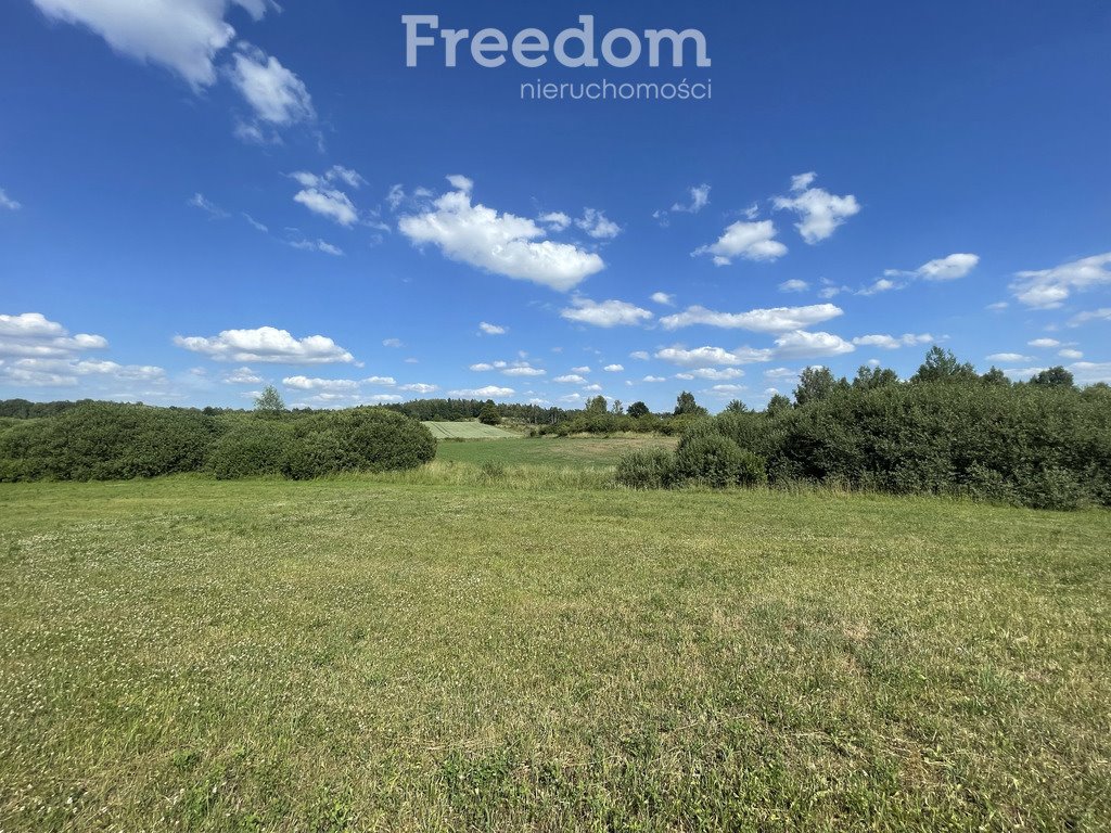 Działka budowlana na sprzedaż Mątki  4 200m2 Foto 4