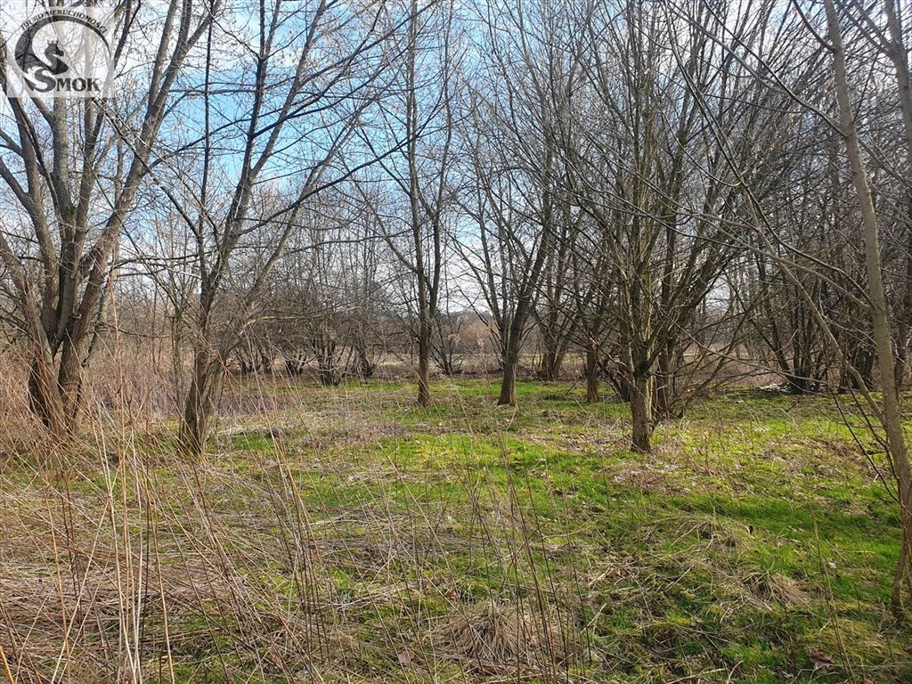 Działka rolna w Niepołomicach, 3 950 m2, blisko centrum Niepołomice, Piaski  3 950m2 Foto 1