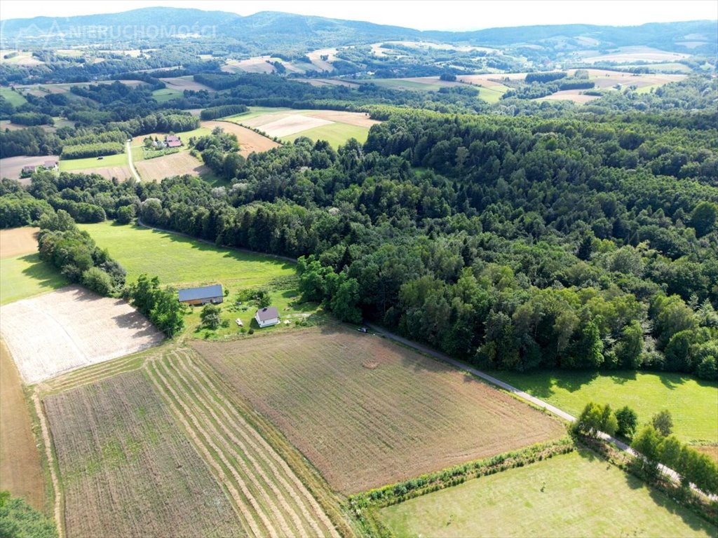 Działka budowlana na sprzedaż Błażkowa  2 200m2 Foto 15