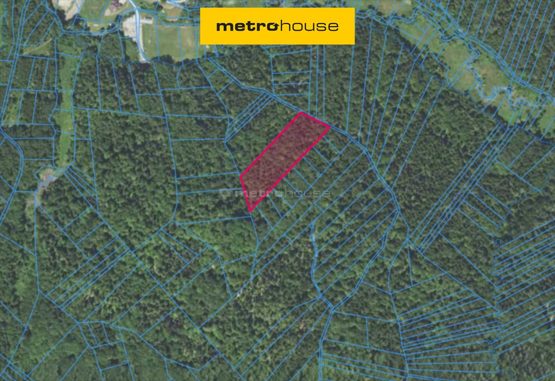 Działka leśna 1,19 ha w Nienaszowie – inwestycja Nienaszów  11 900m2 Foto 1