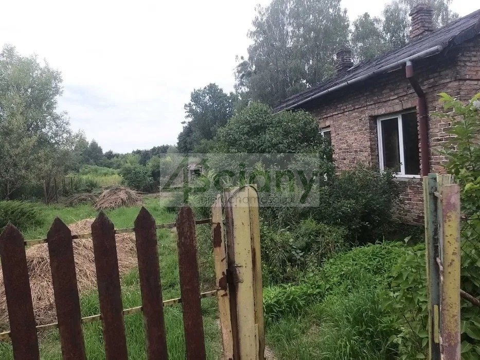 Działka 5 352 m² z domem, media, MPZP, podział Wólka Grodziska  5 352m2 Foto 1