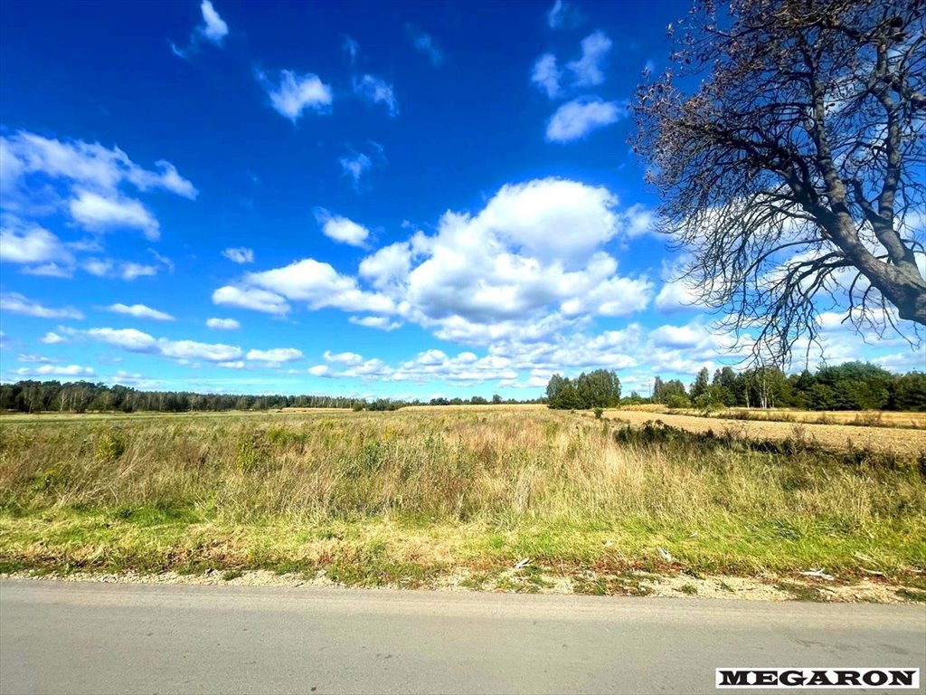 Działka inna na sprzedaż Jamno, Rusinów  9 180m2 Foto 1