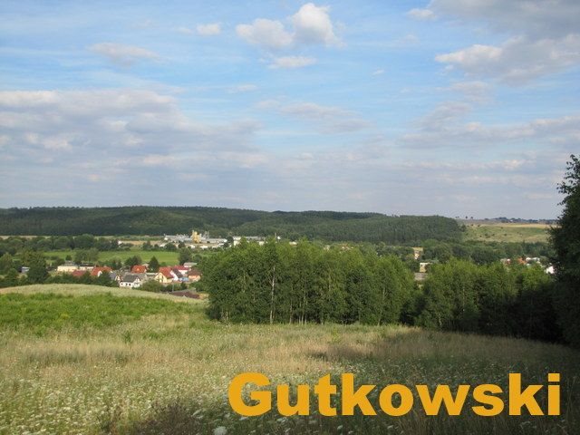 Działka rolna na sprzedaż Łąki Bratiańskie, Gmina Nowe Miasto Lubawskie  3 079m2 Foto 10