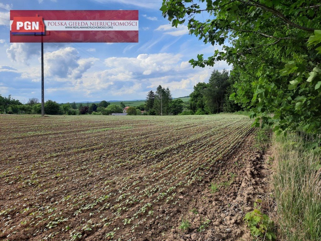 Dom na sprzedaż Kłodzko  150m2 Foto 5