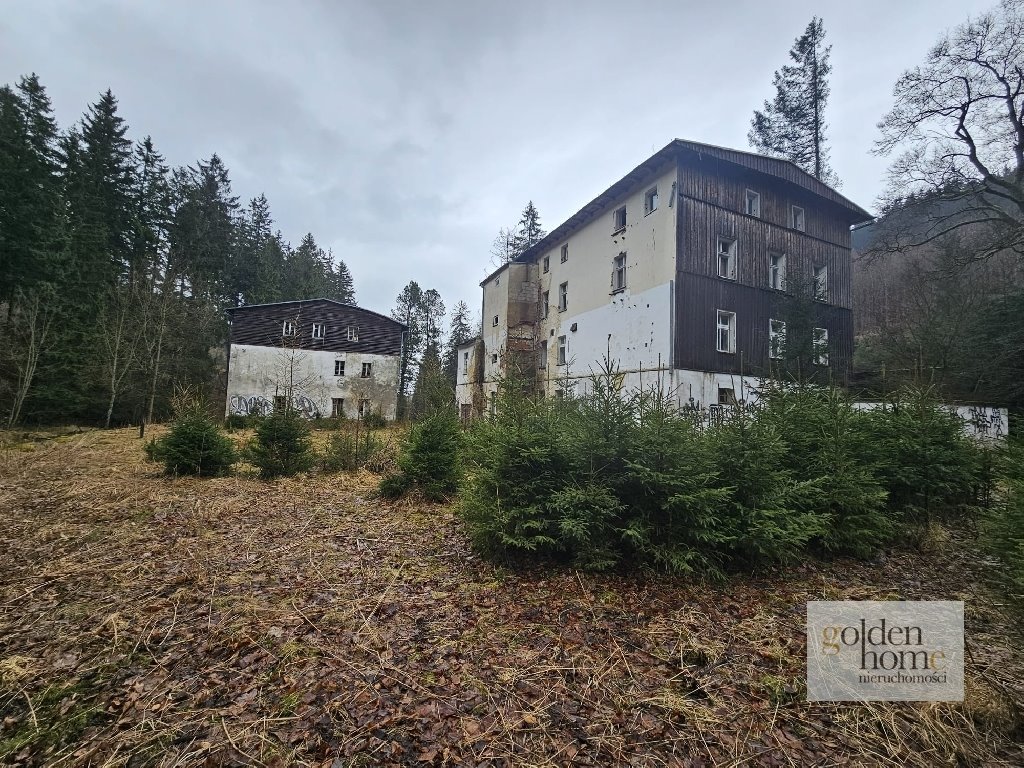 Działka inwestycyjna na sprzedaż Kletno, Śnieżnik Jaskinia Niedźwiedzia  19 400m2 Foto 6