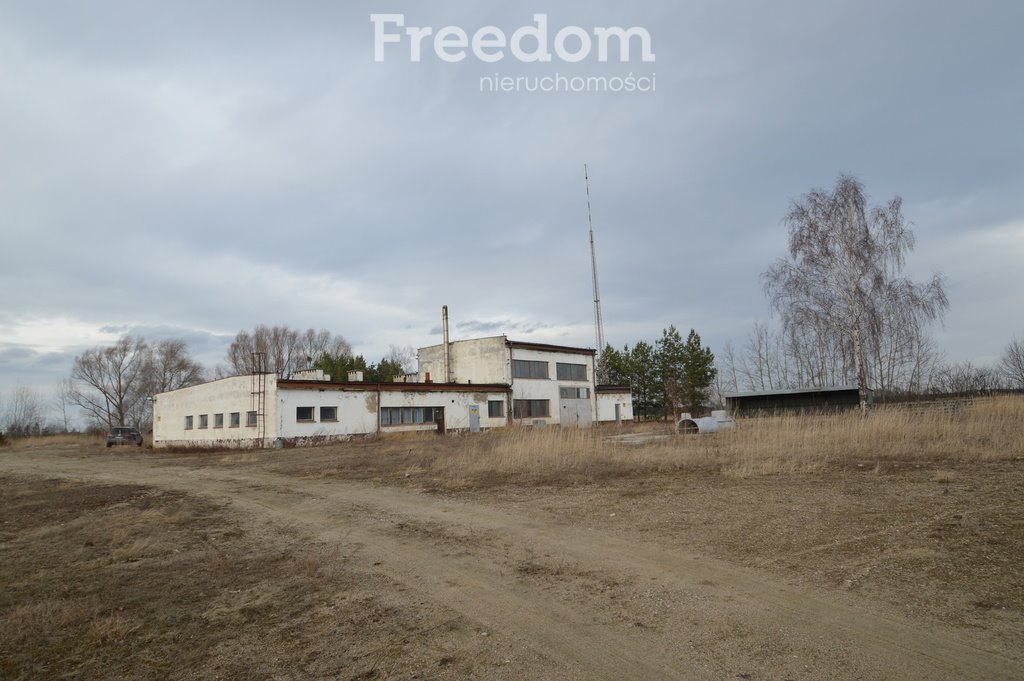 Działka inwestycyjna na sprzedaż Brzeziny  520 000m2 Foto 10