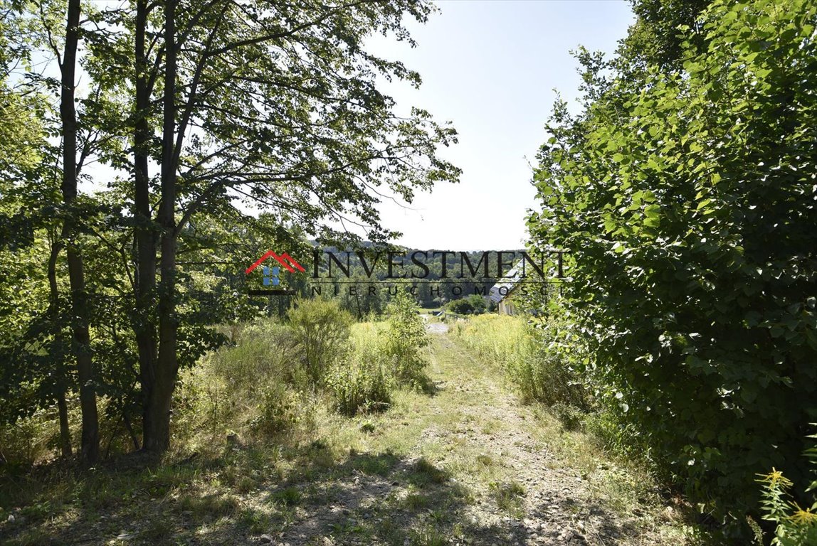 Zdjęcie 4