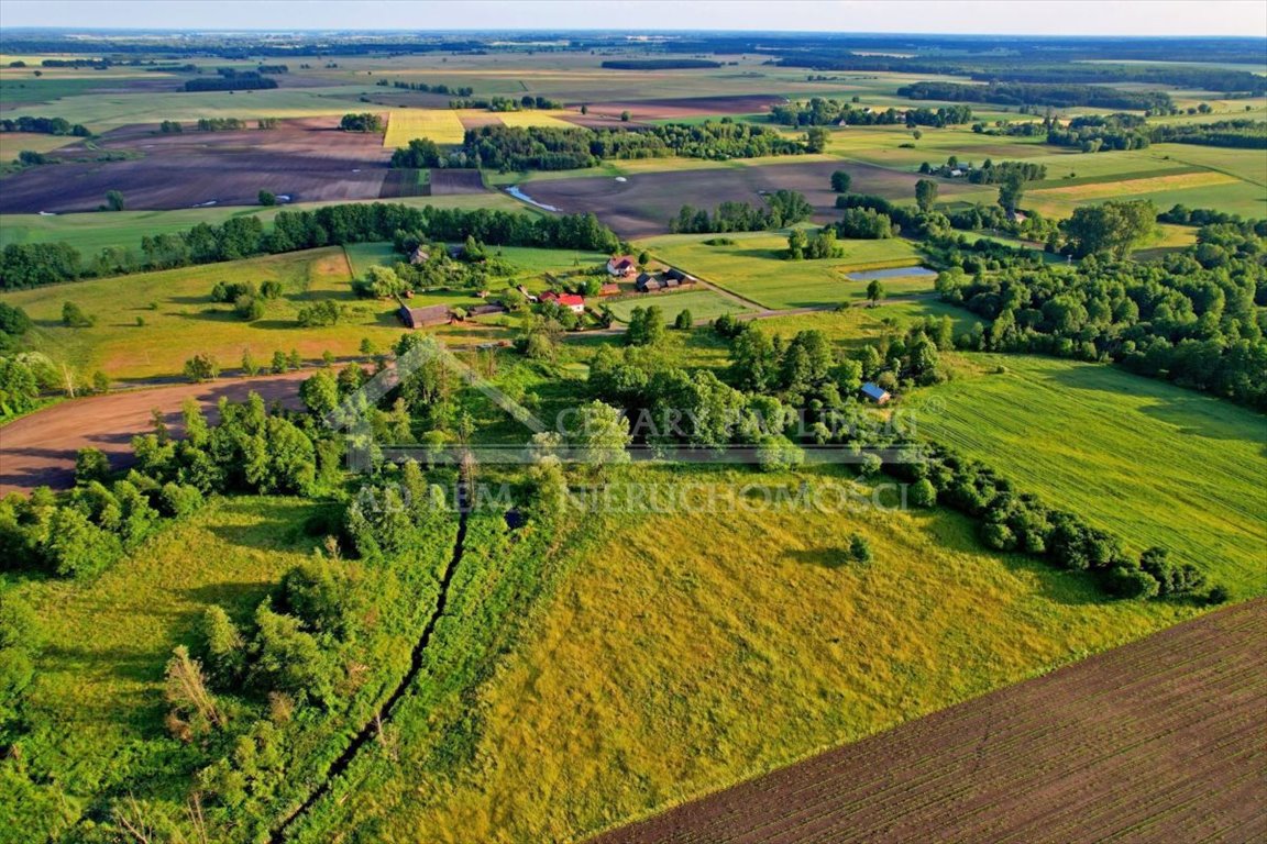 Działka inwestycyjna na sprzedaż Dobratycze-Kolonia, Terespol, Dobratycze-Kolonia  3 960m2 Foto 4