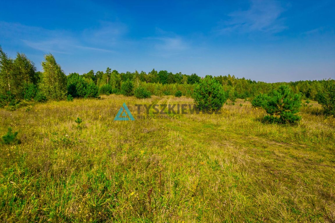 Działka budowlana na sprzedaż Borcz  3 286m2 Foto 10