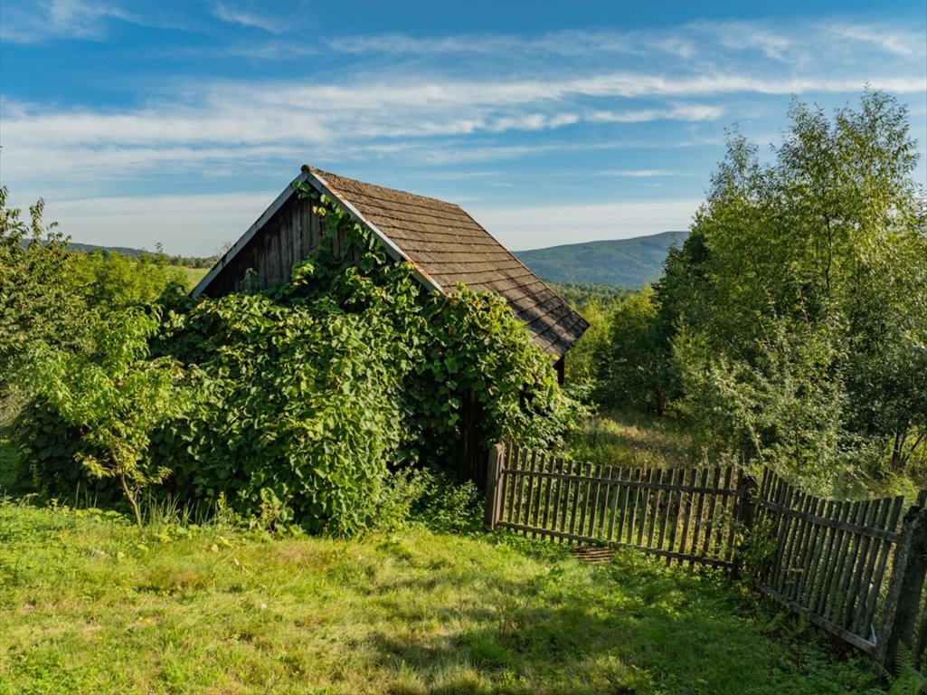 Do sprzedania działki budowlane w Kozińcu z lasem i mediami Koziniec, 43  12 700m2 Foto 1