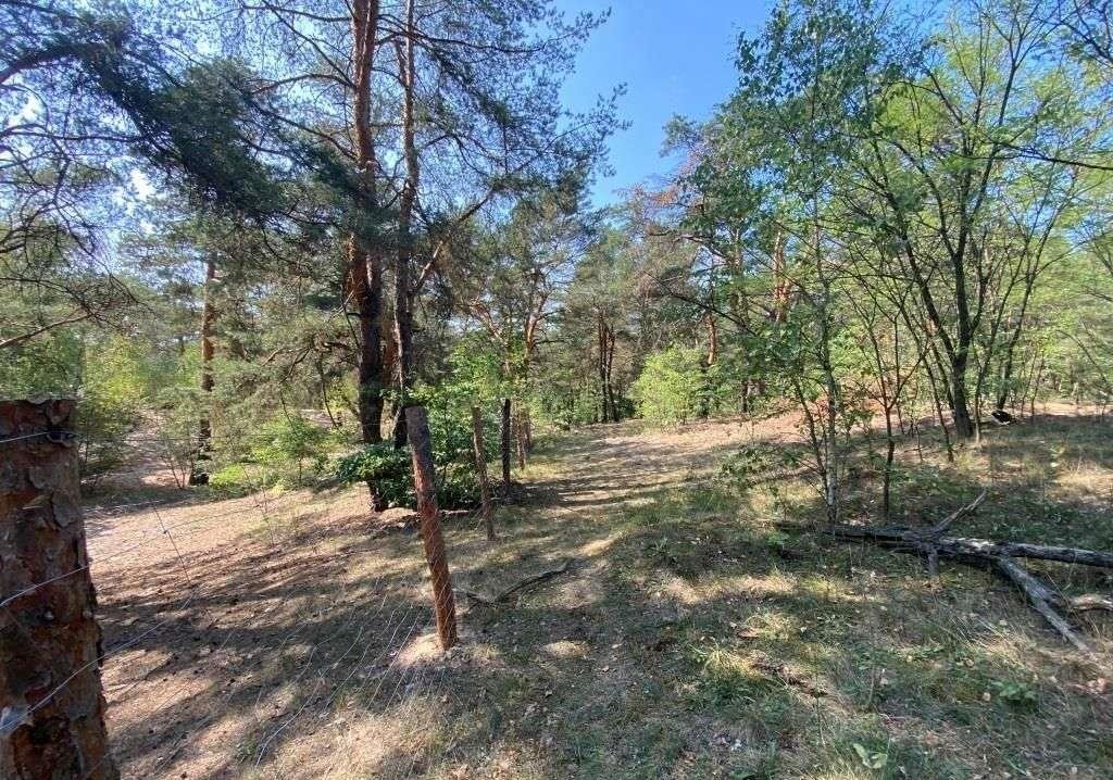 Działka budowlana na sprzedaż Marki, Bielówek  2 000m2 Foto 11