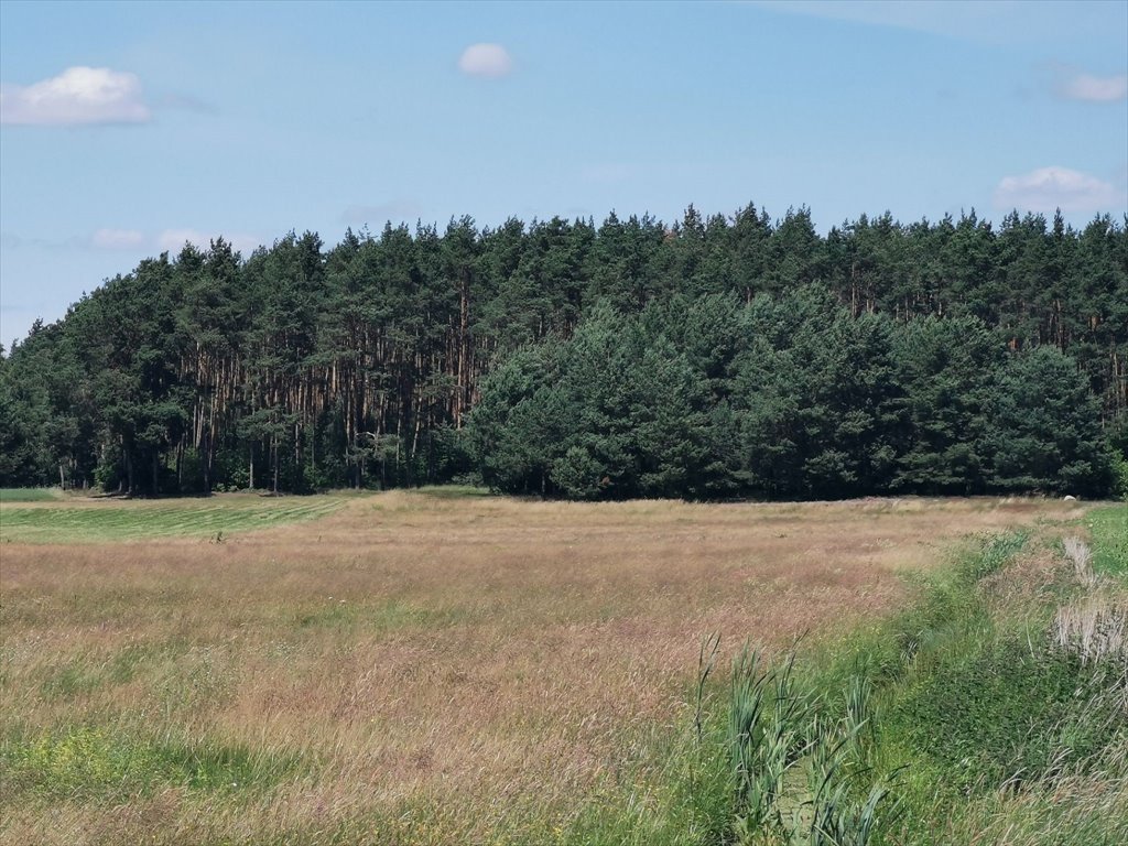 Działka rolna na sprzedaż Kleszczyna  27 800m2 Foto 15