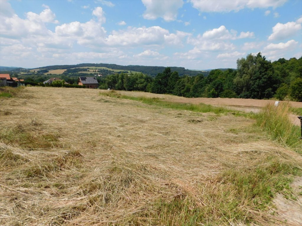 Działka budowlana na sprzedaż Boguszyn  2 000m2 Foto 4