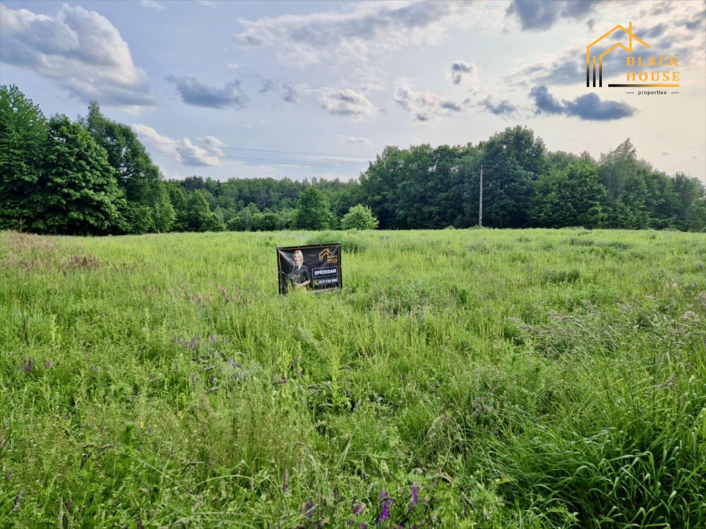 Działka 1 ha w Rzeczycy z mediami i widokami Rzeczyca  10 500m2 Foto 1