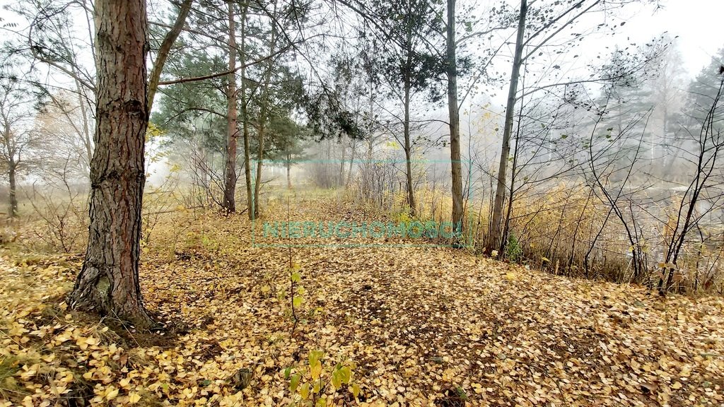 Działka budowlana na sprzedaż Janinów  21 811m2 Foto 9