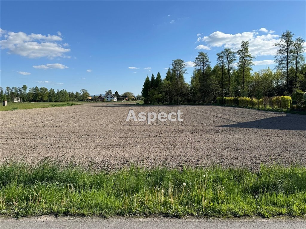 Działka budowlana na sprzedaż Frelichów  3 775m2 Foto 1