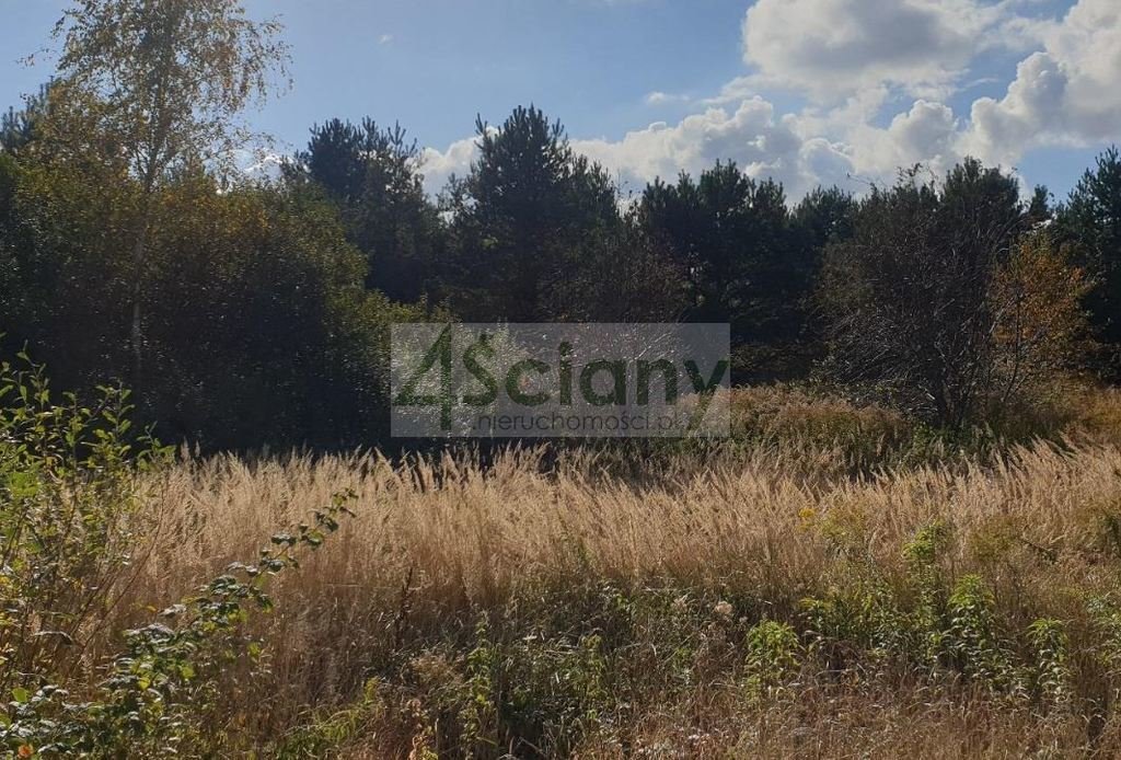 Działka rolna 3,2 ha z dostępem do mediów i lasem Stary Łajszczew  31 925m2 Foto 1