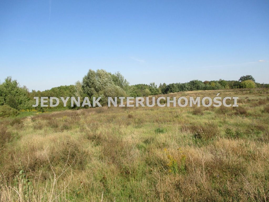 Duża działka 9 191 m² w Łochowicach - polecam Łochowice  9 191m2 Foto 1