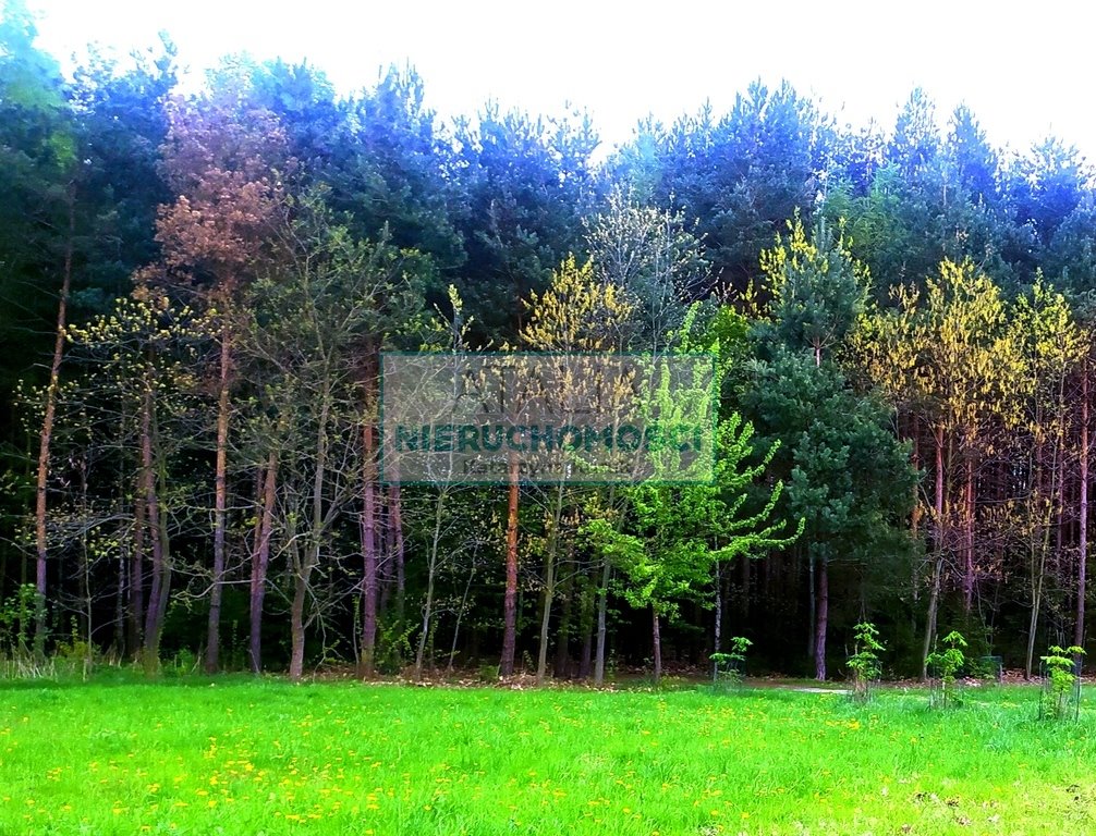Do sprzedania malownicza działka 2400 m² pod zabudowę jednorodzinną Słubica A  2 395m2 Foto 1