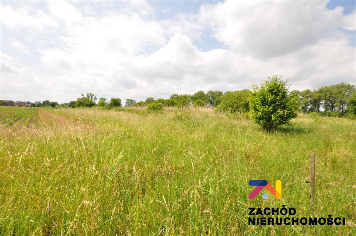 Działka budowlana na sprzedaż Pomorsko  2 511m2 Foto 1