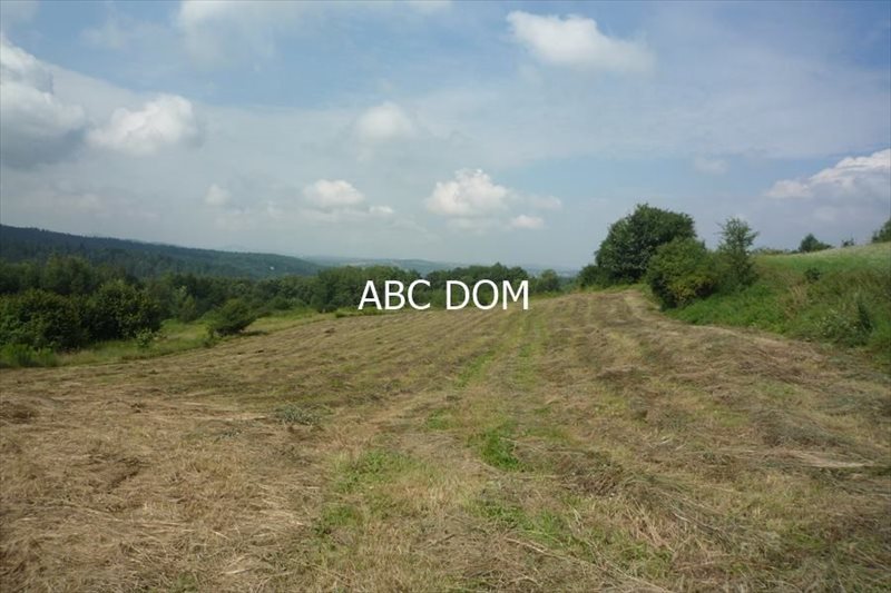 Działka budowlana na sprzedaż Mogilany, Mogilany 4 100m2 Foto 1 Działka budowlana na sprzedaż Mogilany, Mogilany 4 100m2 Foto 1