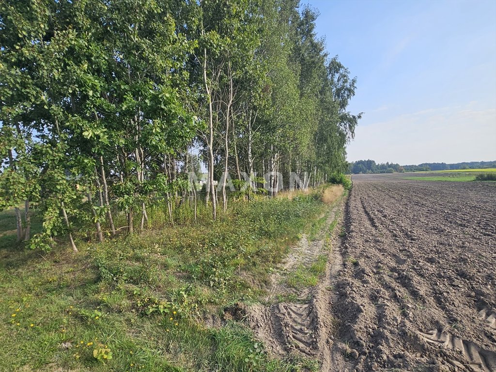 Działka budowlana na sprzedaż Wola Władysławowska  15 100m2 Foto 8