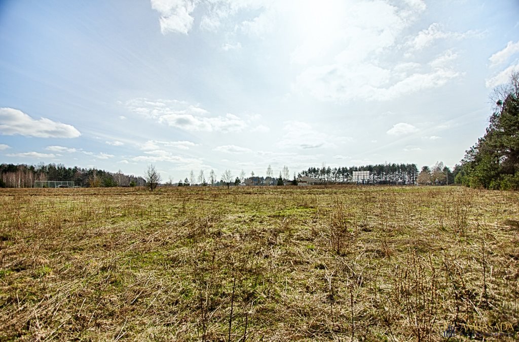 Działka inna na sprzedaż Zarzeczany  3 000m2 Foto 8