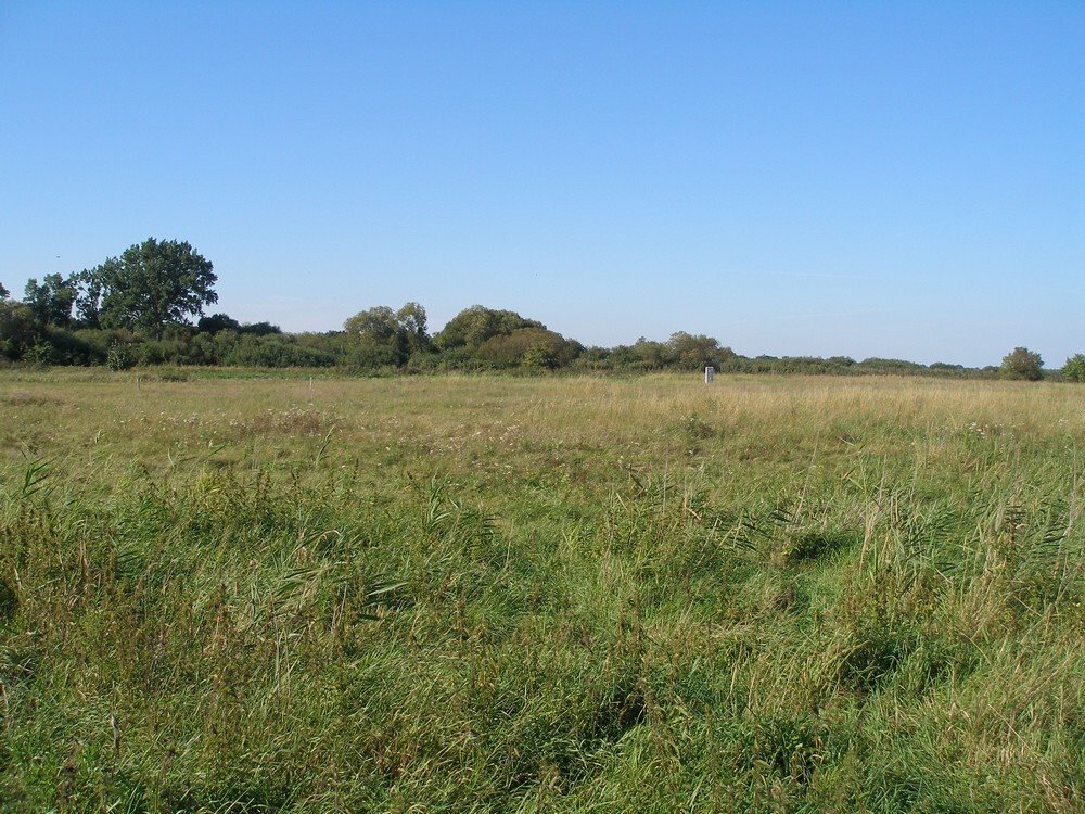 Działka budowlana na sprzedaż Czarna Łąka  1 500m2 Foto 5