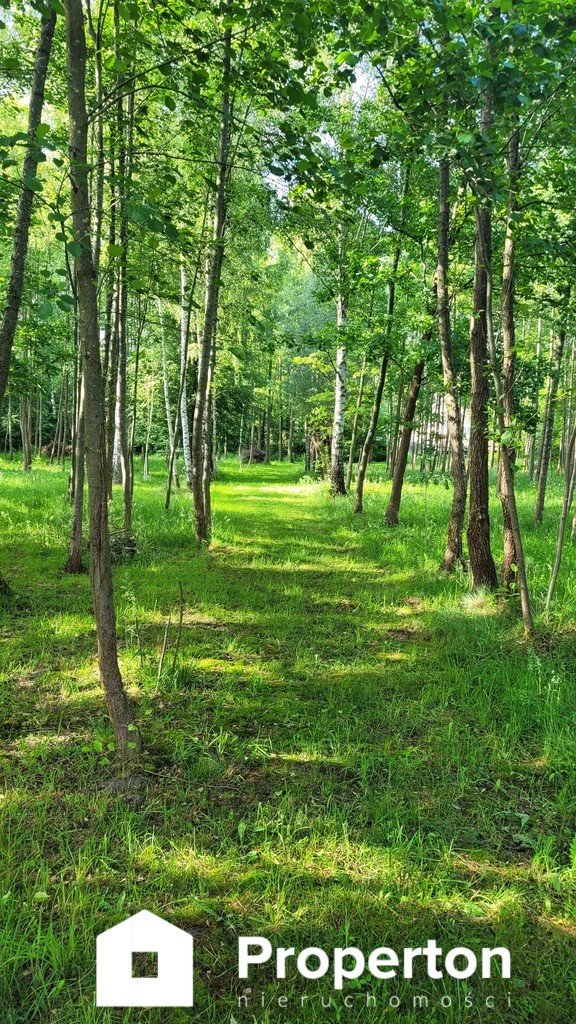 Dom na sprzedaż Twarogi  120m2 Foto 20