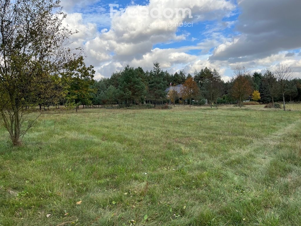 Działka budowlana na sprzedaż Zarośle Cienkie  25 363m2 Foto 5