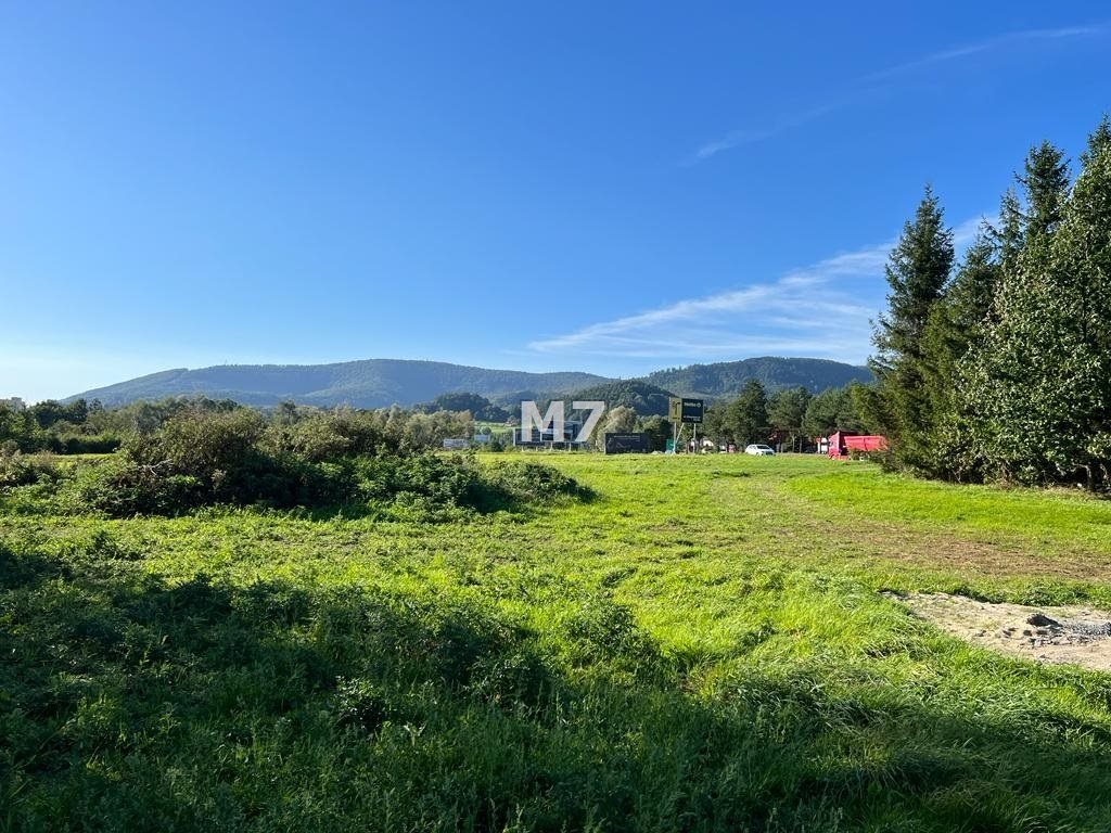 Działka inna na sprzedaż Ustroń  8 000m2 Foto 1