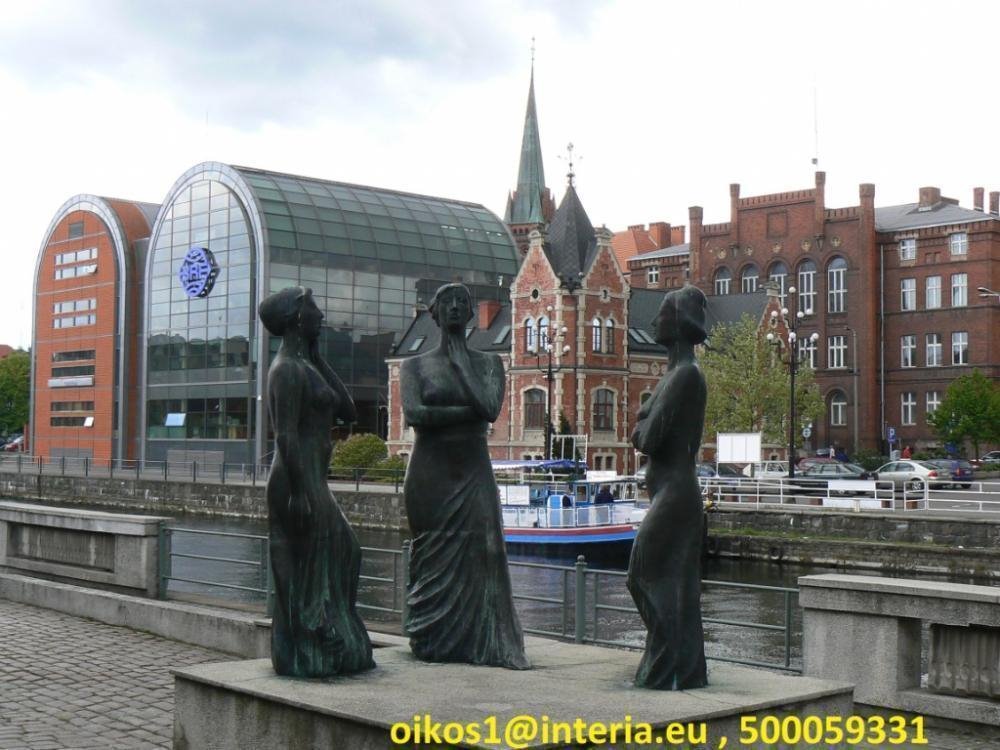 Działki pod zabudowę w Czarnowie, 15 000 m², inwestycja Czarnowo  15 000m2 Foto 1