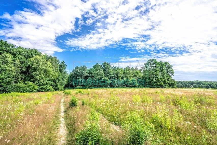 Działka budowlana na sprzedaż Stara Wieś  2 020m2 Foto 1