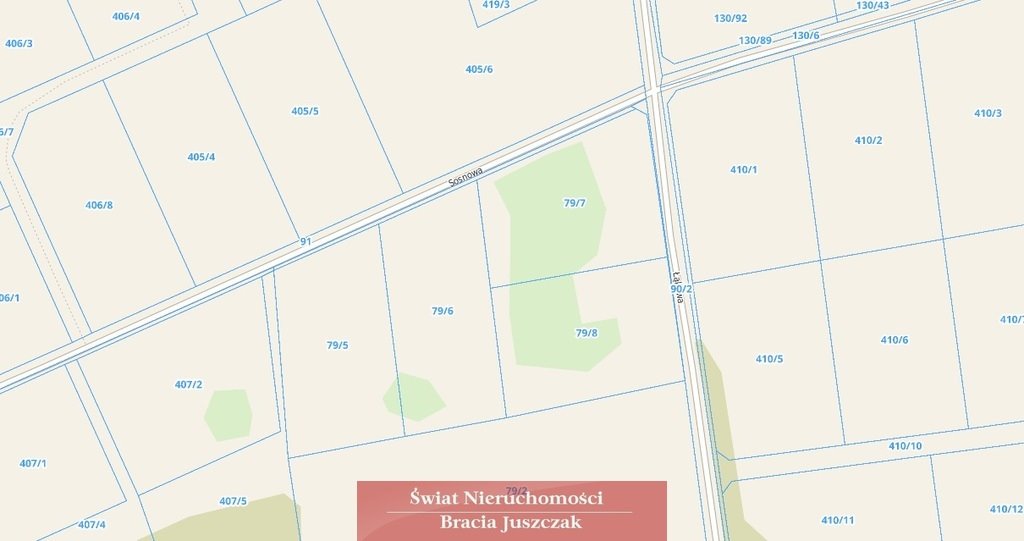 Działka 5000 m² z planem pod zabudowę w Ozorowicach Ozorowice  5 000m2 Foto 1